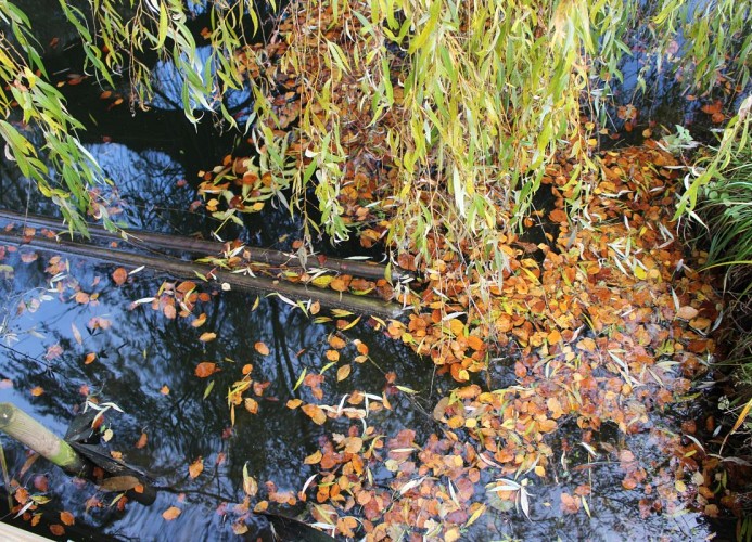 Herbst an der Ostsee