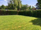 großer Garten zum Spielen