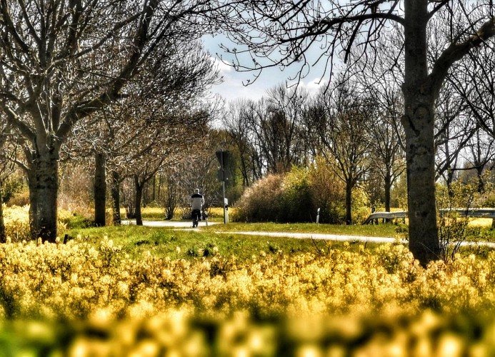 Obj. 74, 2-5 Pers. + 1 Kleinkind, strandnah, Balkon,WLAN, Hund